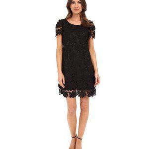 NWT Adrianna Papell Floral Floral Lace Dress